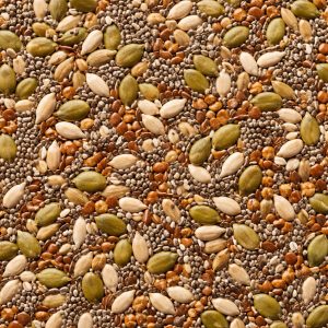 Semente ou fibra natural para complementar preparos, bowls, iogurtes, pães e receitas funcionais.