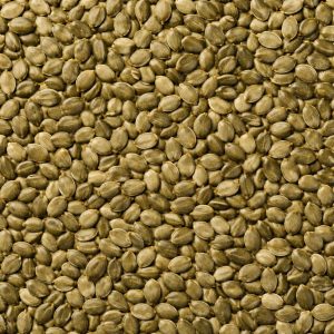 Semente ou fibra natural para complementar preparos, bowls, iogurtes, pães e receitas funcionais.