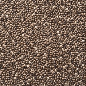 Semente ou fibra natural para complementar preparos, bowls, iogurtes, pães e receitas funcionais.