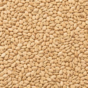 Semente ou fibra natural para complementar preparos, bowls, iogurtes, pães e receitas funcionais.