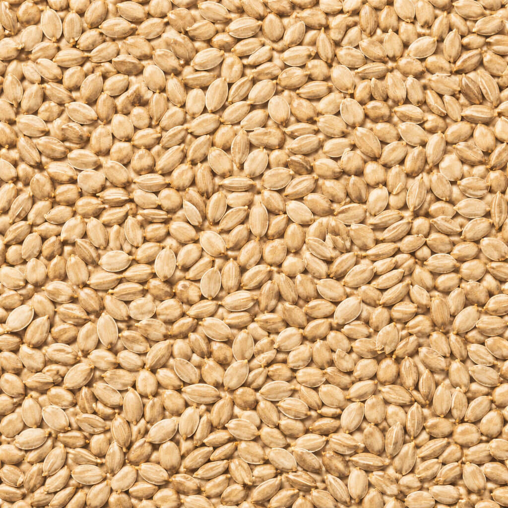 Semente ou fibra natural para complementar preparos, bowls, iogurtes, pães e receitas funcionais.