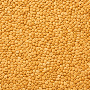 Semente ou fibra natural para complementar preparos, bowls, iogurtes, pães e receitas funcionais.