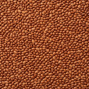 Semente ou fibra natural para complementar preparos, bowls, iogurtes, pães e receitas funcionais.